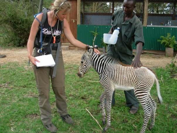 Kirsty with a young zebra at a wildlife sanctuary